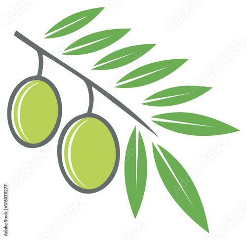 Stylized olive branch illustration with green olives and leaves