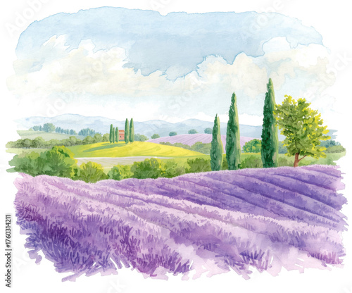 Scenic Watercolor Painting Capturing the Beauty of Lavender Fields Under a Cloudy Sky