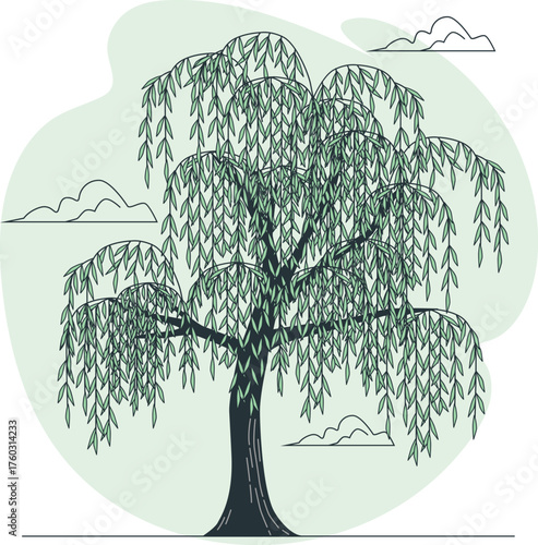 Weeping Willow Tree with Drooping Branches and Clouds Illustration Keywords: weeping willow, tree, willow, nature, plant, foliage, leaves, branches, drooping, hanging, green, organic, growth, life