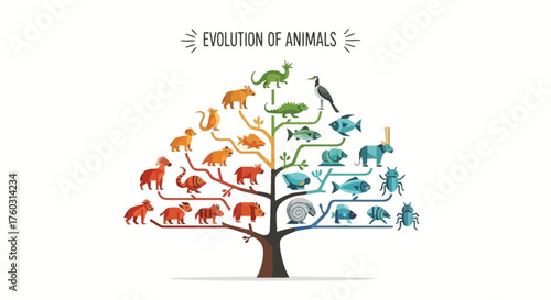 Animal Evolution Tree A Colorful Depiction of the Evolutionary Journey Through Different Species and Branches