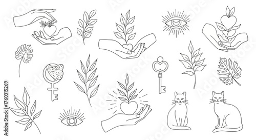 Elegant collection of mystical boho symbols in a fine line art style. Includes magical hands, celestial eyes, sacred plants, and enigmatic cats