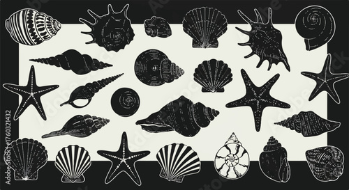 A visually descriptive flat 2D black and white vector illustration features a comprehensive and detailed collection of various natural marine seashells, conch shells, and intricate starfish figures.