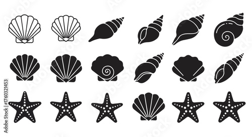 A collection of beautiful monochrome seashells and starfish, presented as a high-contrast 2D flat vector icon set representing marine life and tropical ocean themes.