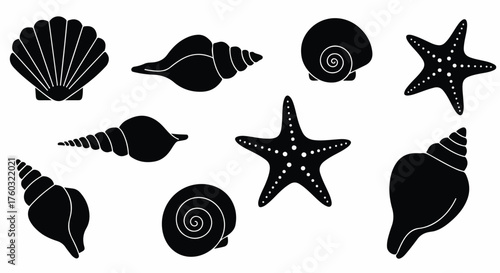 Simple black and white vector illustration depicting a variety of detailed ocean seashells and starfish perfectly isolated on a plain background, creating a minimalist marine collection.
