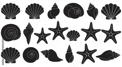 Various seashells and starfish featured in a beautiful marine life collection, rendered as a modern flat 2D vector illustration set using a clean monochrome style on a white background.