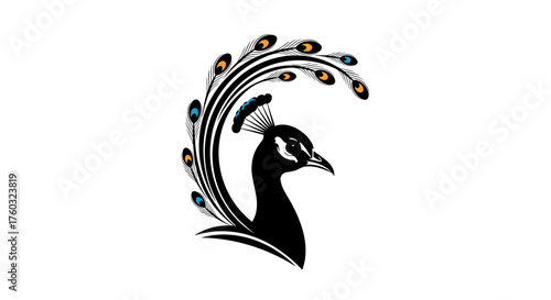 Elegant black peacock with a vibrant fanned tail adorned with colorful feathers.