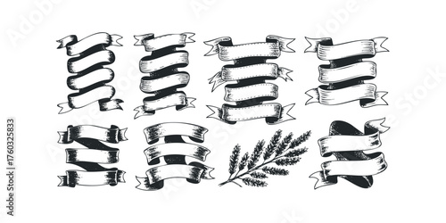 Collection of Hand Drawn Ribbons and Wheat Stalks