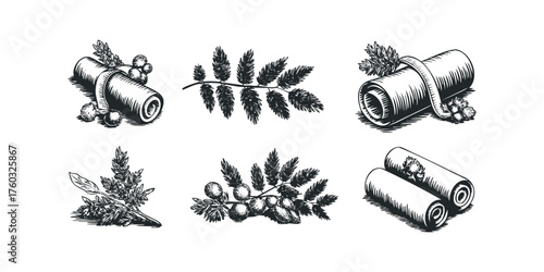 Woodcut Style Illustration of Rolled Parchment and Berries