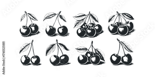 Cherry clusters with leaves and stems