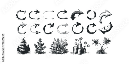 Collection of Hand Drawn Arrows and Botanical Elements