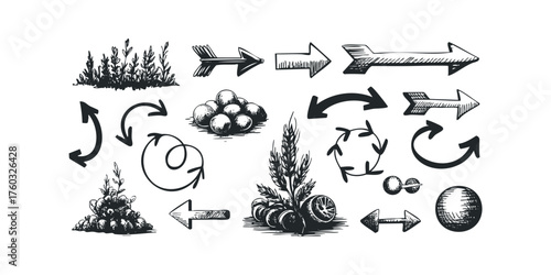 Hand drawn directional arrows and natural elements