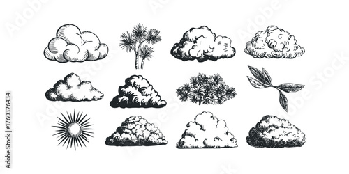 Collection of Vintage Style Drawings of Clouds, Sun, and Flora