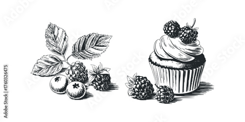 Hand Drawn Sketch of Cupcake with Berries and Leaves
