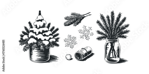 Winter Evergreen Sprigs with Snow and Snowflakes