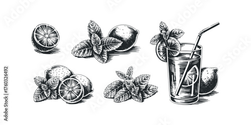 Glass of Fresh Lemonade with Mint and Citrus Slices