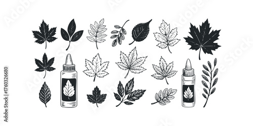 Collection of autumn leaves and dropper bottles