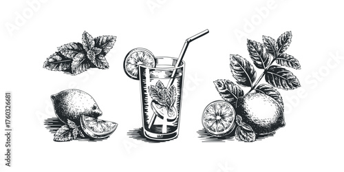 Glass of Refreshing Drink with Lemon and Mint Leaves