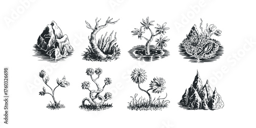 Set of eight sketched monochrome natural elements