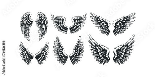 Collection of Hand Drawn Wing Pairings in Sketch Style