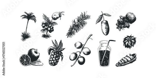 Collection of tropical fruits and beverage icons