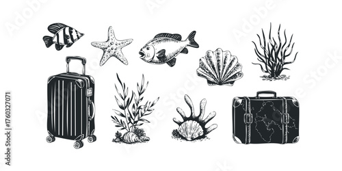 Ocean Life and Luggage Collection