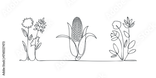 Single line drawing of corn and plants