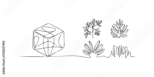 Continuous line drawing of geometric cube and botanical leaf shapes