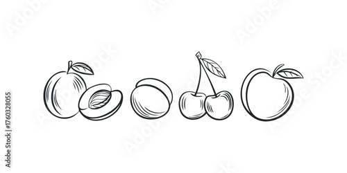 Line drawing fruit assortment with apple, peach, and cherries