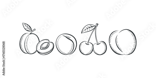 Line drawing of peaches and cherries