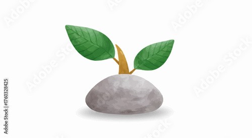 zen stones and green leaf