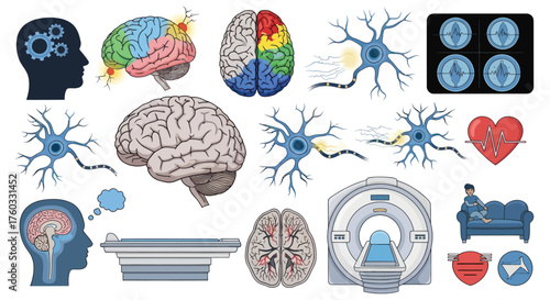 Brain Anatomy and Medical Imaging Illustrations: Neurons Scans and Cognitive Function.