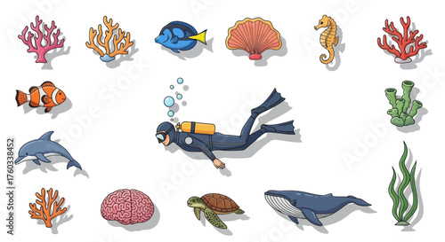 Diverse Underwater Marine Life and Scuba Diver Collection.