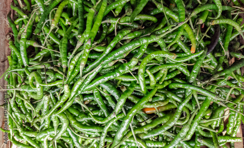 Vibrant green chilies stacked together for use in cooking. Fresh and glossy green chilies awaiting harvest. Hot and spicy green chilies arranged for culinary delights