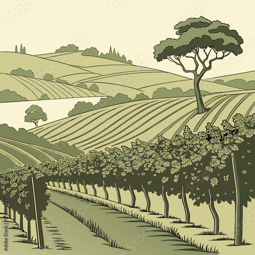 Vineyard landscape illustration, showcasing rolling hills and grape vines