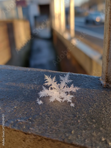 A small, intricate snowflake sits on a metal railing, illuminated by the soft glow of the late afternoon sun in a peaceful city area.