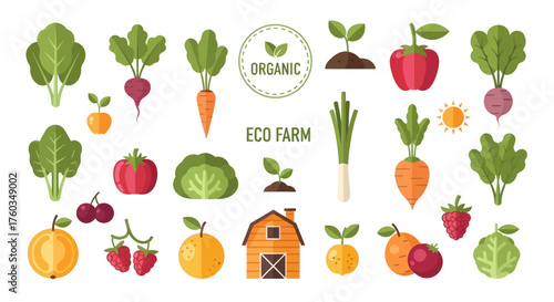 Vibrant Collection of Fresh Organic Farm Produce and Elements.