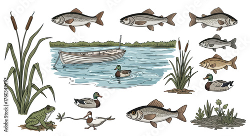 Watercolor Illustration of Various Fish Swimming in Water.
