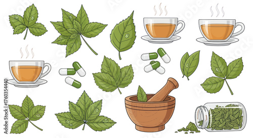 Herbal remedies and natural health products collection.