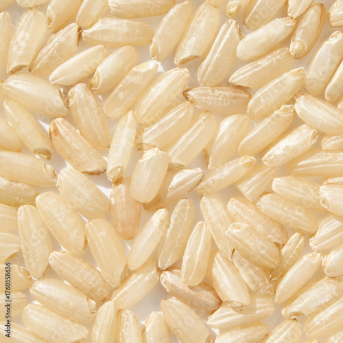 Tableau sur toile Close-up of uncooked white rice grains on a white background.