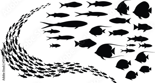 School of fish silhouettes, marine life illustration, underwater ocean design, aquatic animals swimming together, sea biodiversity artwork, cad drawing flat vector illustration