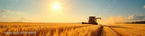 Golden Wheat Field Ready for Harvest Under Summer Sun A Picturesque Scene of Agricultural Abundance with Combine Harvester in the Distance