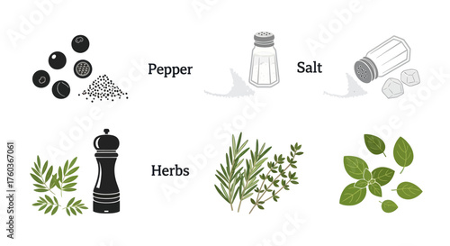 Pepper Salt and Herbs Illustration Set for Cooking and Seasoning.
