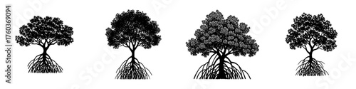 A collection of four black and white illustrations of mangrove trees, each showcasing their distinctive aerial root systems.