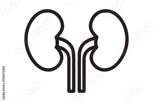 Simple kidney outline icon for medical and health concepts