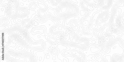 Minimal white line geometric grid outline curve counter map and wavy topography relief discovery area white, black line texture background.	
