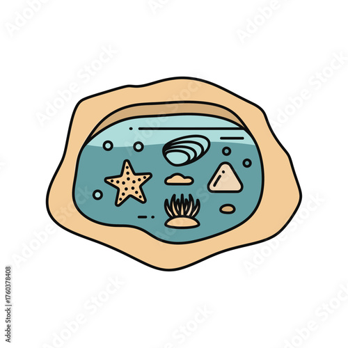 Cartoon illustration of a tide pool with sea creatures and algae.