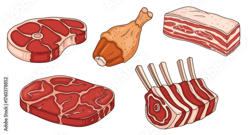 Various Cuts of Raw Meat and Cooked Chicken Leg Illustration.