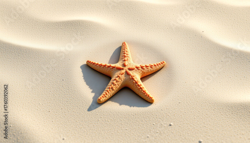 Starfish Resting Smooth Beach Sand