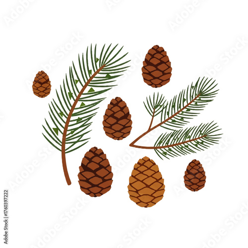A beautifully illustrated collection of pine cones and evergreen fir branches, perfect for seasonal winter and holiday decorations
