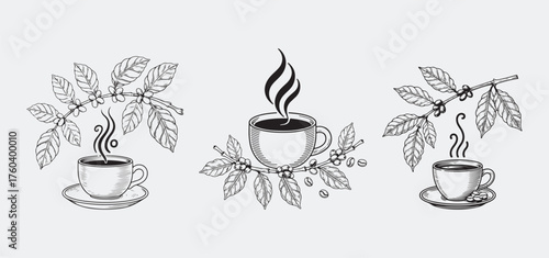 Elegant line art illustrations of coffee cups and coffee plants